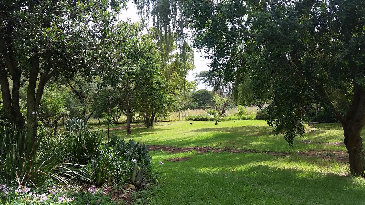 Amberhall Guesthouse Johannesburg Eksteriør billede